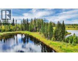 49419 B Range Road 85, Rural Brazeau County, AB T7A0C1 Photo 32