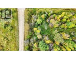 49419 B Range Road 85, Rural Brazeau County, AB T7A0C1 Photo 22