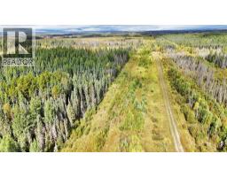 49419 B Range Road 85, Rural Brazeau County, AB T7A0C1 Photo 28
