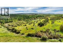 49419 B Range Road 85, Rural Brazeau County, AB T7A0C1 Photo 33