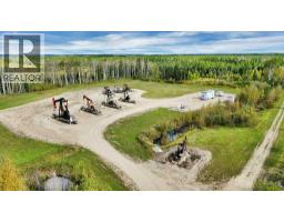 49419 B Range Road 85, Rural Brazeau County, AB T7A0C1 Photo 21