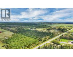 49419 B Range Road 85, Rural Brazeau County, AB T7A0C1 Photo 24