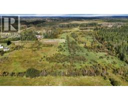 49419 B Range Road 85, Rural Brazeau County, AB T7A0C1 Photo 13