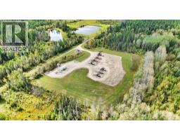 49419 B Range Road 85, Rural Brazeau County, AB T7A0C1 Photo 20