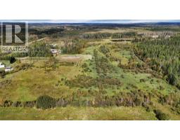 49419 B Range Road 85, Rural Brazeau County, AB T7A0C1 Photo 34