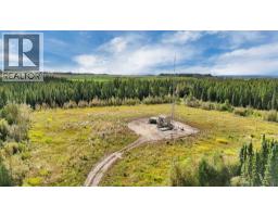 49419 B Range Road 85, Rural Brazeau County, AB T7A0C1 Photo 38