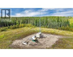 49419 B Range Road 85, Rural Brazeau County, AB T7A0C1 Photo 37