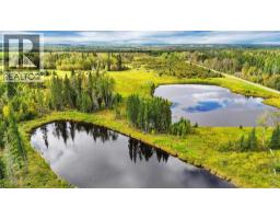 49419 B Range Road 85, Rural Brazeau County, AB T7A0C1 Photo 31