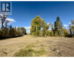 43048 Township Road 38-4, Rural Clearwater County, AB T0M0P0 Photo 12