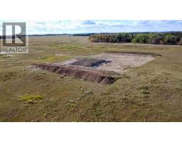 43048 Township Road 38-4, Rural Clearwater County, AB T0M0P0 Photo 32