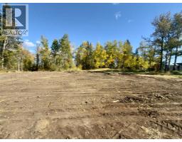 43048 Township Road 38-4, Rural Clearwater County, AB T0M0P0 Photo 11