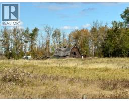 43048 Township Road 38-4, Rural Clearwater County, AB T0M0P0 Photo 19