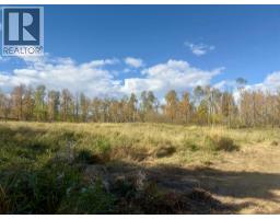 43048 Township Road 38-4, Rural Clearwater County, AB T0M0P0 Photo 10