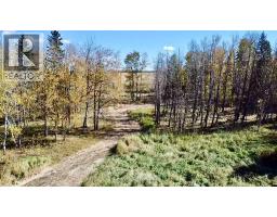 43048 Township Road 38-4, Rural Clearwater County, AB T0M0P0 Photo 23