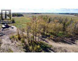 43048 Township Road 38-4, Rural Clearwater County, AB T0M0P0 Photo 22