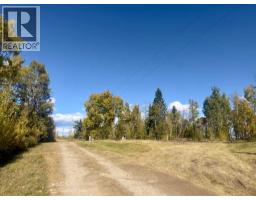 43048 Township Road 38-4, Rural Clearwater County, AB T0M0P0 Photo 8