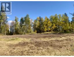 43048 Township Road 38-4, Rural Clearwater County, AB T0M0P0 Photo 9