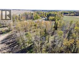 43048 Township Road 38-4, Rural Clearwater County, AB T0M0P0 Photo 26