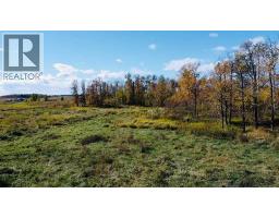 43048 Township Road 38-4, Rural Clearwater County, AB T0M0P0 Photo 27