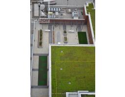 3509 - 2212 Lake Shore Boulevard W, Toronto, ON M8V1A4 Photo 6