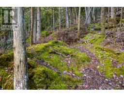 Part Lot 21 Cape Chin North Shore Road, Northern Bruce Peninsula, ON N0H1W0 Photo 10