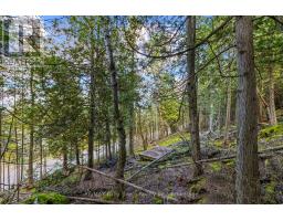 Part Lot 21 Cape Chin North Shore Road, Northern Bruce Peninsula, ON N0H1W0 Photo 11