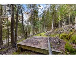 Part Lot 21 Cape Chin North Shore Road, Northern Bruce Peninsula, ON N0H1W0 Photo 12