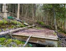 Part Lot 21 Cape Chin North Shore Road, Northern Bruce Peninsula, ON N0H1W0 Photo 13