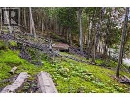 Part Lot 21 Cape Chin North Shore Road, Northern Bruce Peninsula, ON N0H1W0 Photo 14