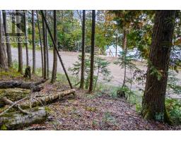 Part Lot 21 Cape Chin North Shore Road, Northern Bruce Peninsula, ON N0H1W0 Photo 15