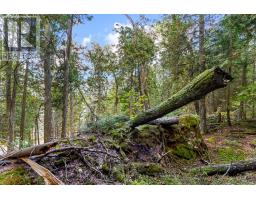 Part Lot 21 Cape Chin North Shore Road, Northern Bruce Peninsula, ON N0H1W0 Photo 16