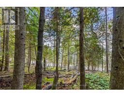 Part Lot 21 Cape Chin North Shore Road, Northern Bruce Peninsula, ON N0H1W0 Photo 17
