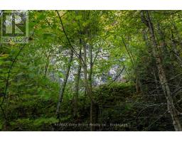 Part Lot 21 Cape Chin North Shore Road, Northern Bruce Peninsula, ON N0H1W0 Photo 18