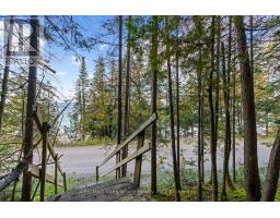 Part Lot 21 Cape Chin North Shore Road, Northern Bruce Peninsula, ON N0H1W0 Photo 9