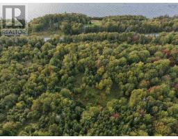 Highway 105, Englishtown, NS B0E1B0 Photo 13