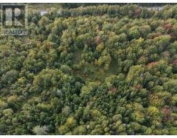 Highway 105, Englishtown, NS B0E1B0 Photo 14