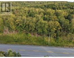 Highway 105, Englishtown, NS B0E1B0 Photo 20