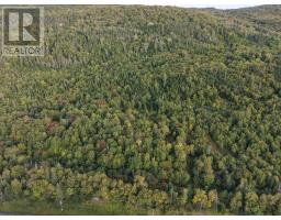 Highway 105, Englishtown, NS B0E1B0 Photo 21