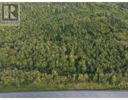 Highway 105, Englishtown, NS B0E1B0 Photo 22