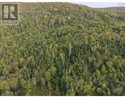 Highway 105, Englishtown, NS B0E1B0 Photo 24