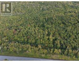 Highway 105, Englishtown, NS B0E1B0 Photo 25