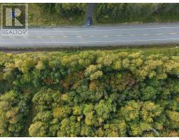 Highway 105, Englishtown, NS B0E1B0 Photo 9