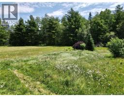 2379 Route 510, Targettville, NB E4T1S6 Photo 28