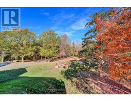 11858 Loyalist Parkway, Prince Edward County, ON K0K2T0 Photo 39