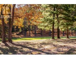 11858 Loyalist Parkway, Prince Edward County, ON K0K2T0 Photo 42