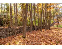 11858 Loyalist Parkway, Prince Edward County, ON K0K2T0 Photo 43