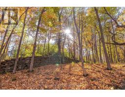 11858 Loyalist Parkway, Prince Edward County, ON K0K2T0 Photo 47