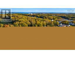 25 Macdonald Crescent, Sydney Mines, NS B1H3H5 Photo 11