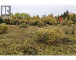 140 Blizzard Street, photo 7