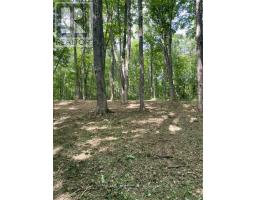 4090 17th Side Road, King, ON L7B1K4 Photo 10